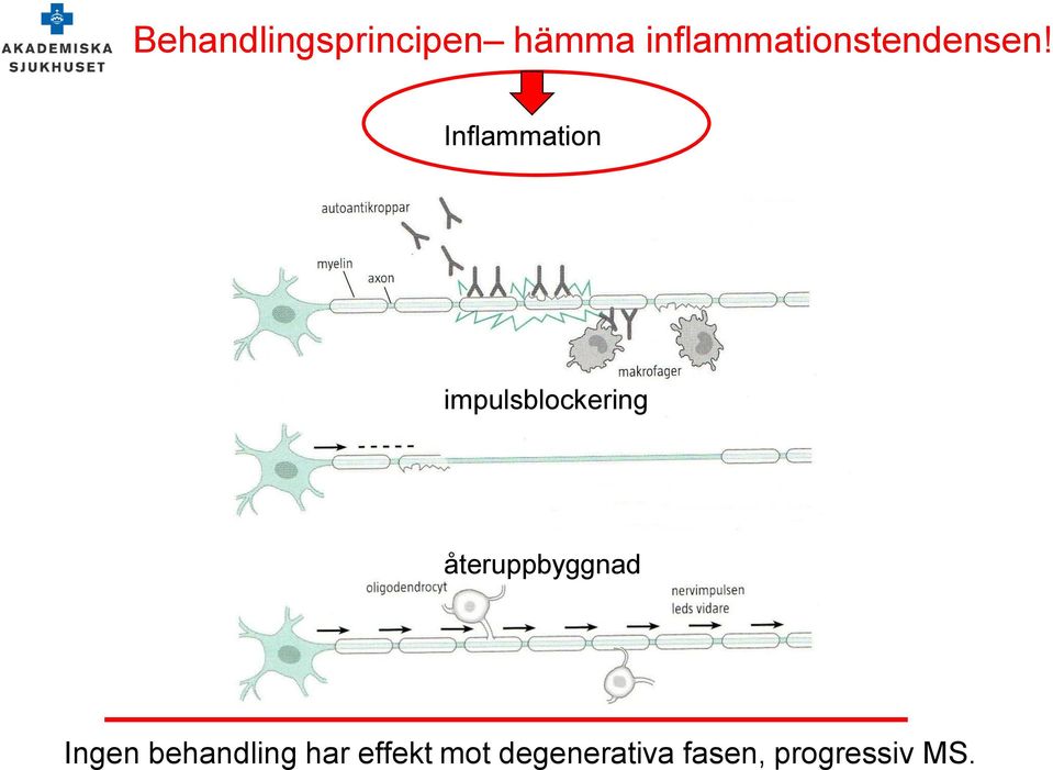 Inflammation impulsblockering