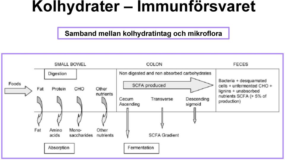 Samband mellan