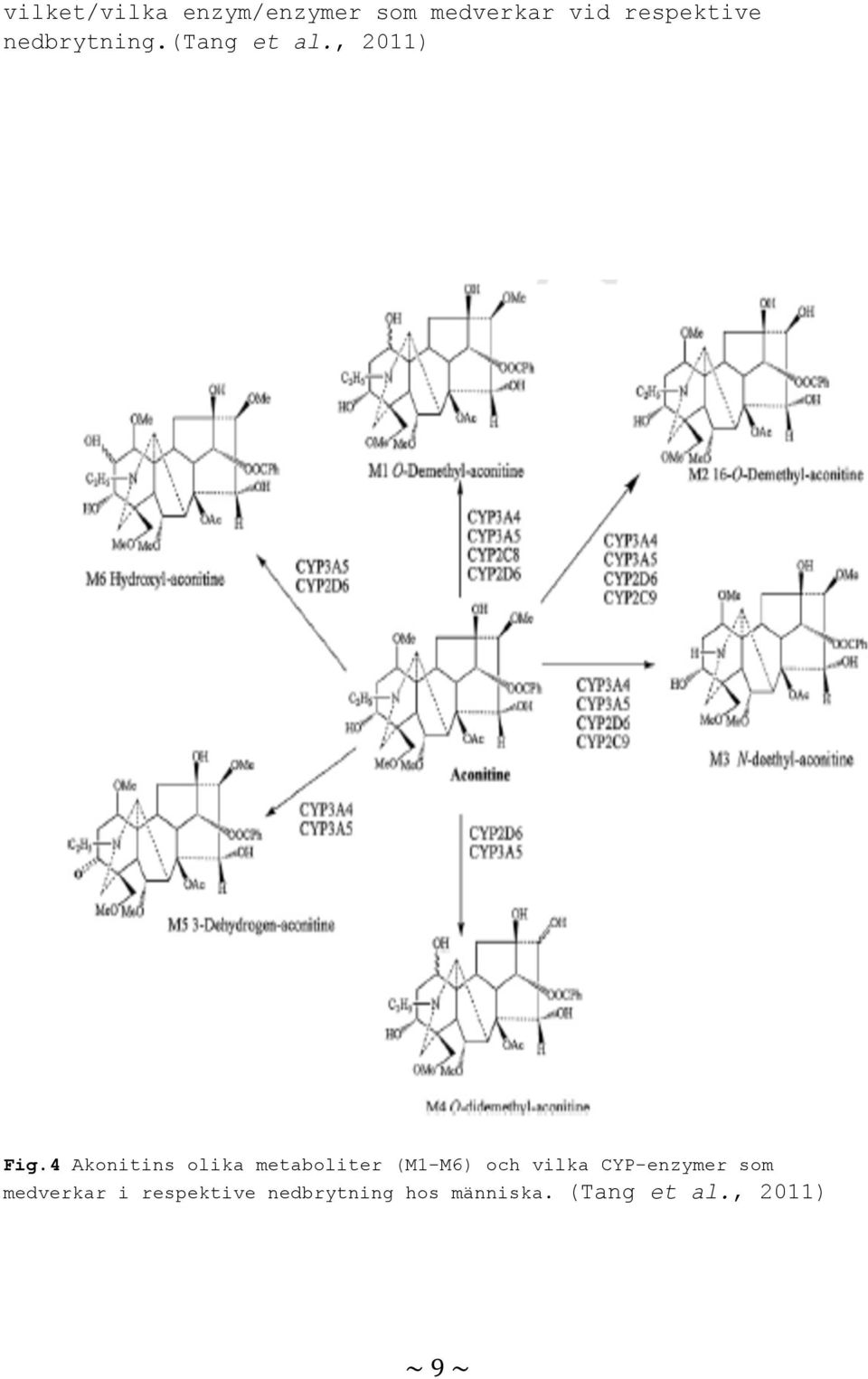 4 Akonitins olika metaboliter (M1-M6) och vilka