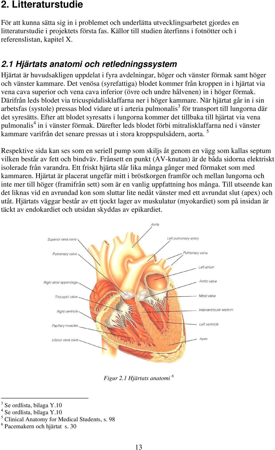 1 Hjärtats anatomi och retledningssystem Hjärtat är huvudsakligen uppdelat i fyra avdelningar, höger och vänster förmak samt höger och vänster kammare.