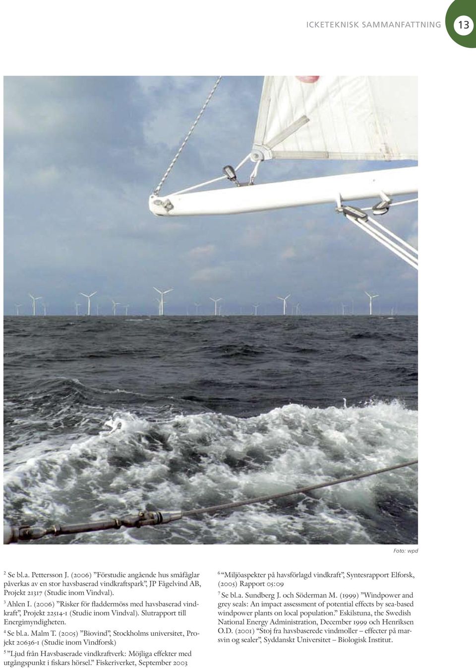 (2006) Risker för fladdermöss med havsbaserad vindkraft, Projekt 22514-1 (Studie inom Vindval). Slutrapport till Energimyndigheten. 4 Se bl.a. Malm T.