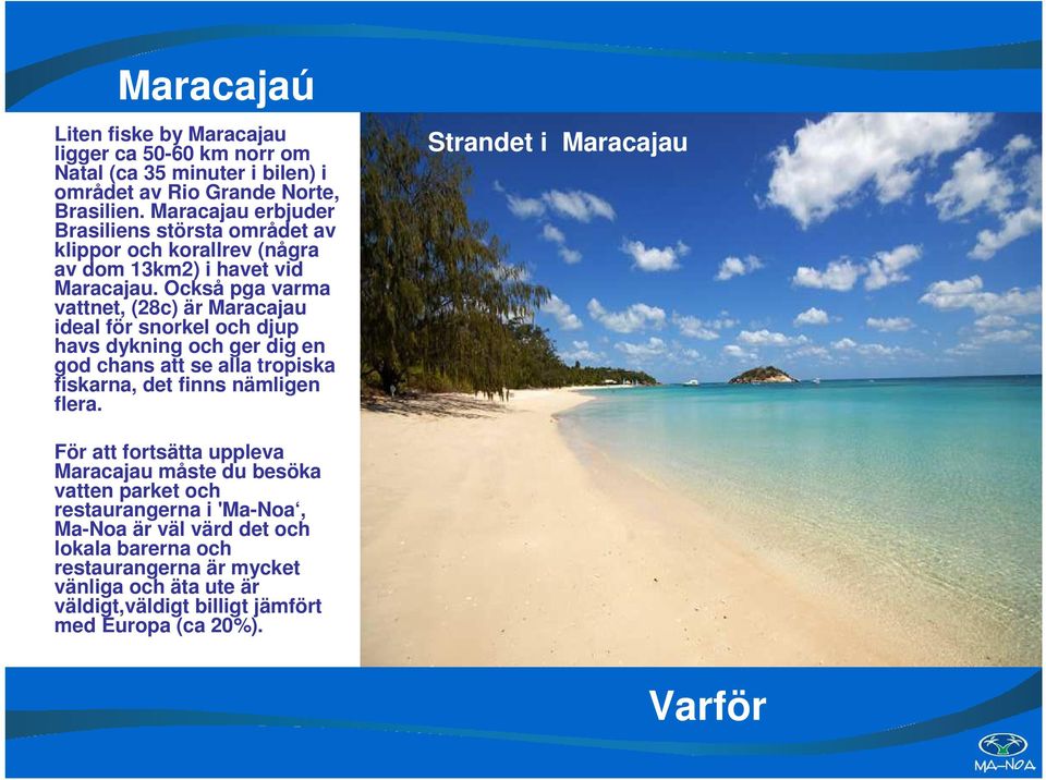 Också pga varma vattnet, (28c) är Maracajau ideal för snorkel och djup havs dykning och ger dig en god chans att se alla tropiska fiskarna, det finns nämligen flera.