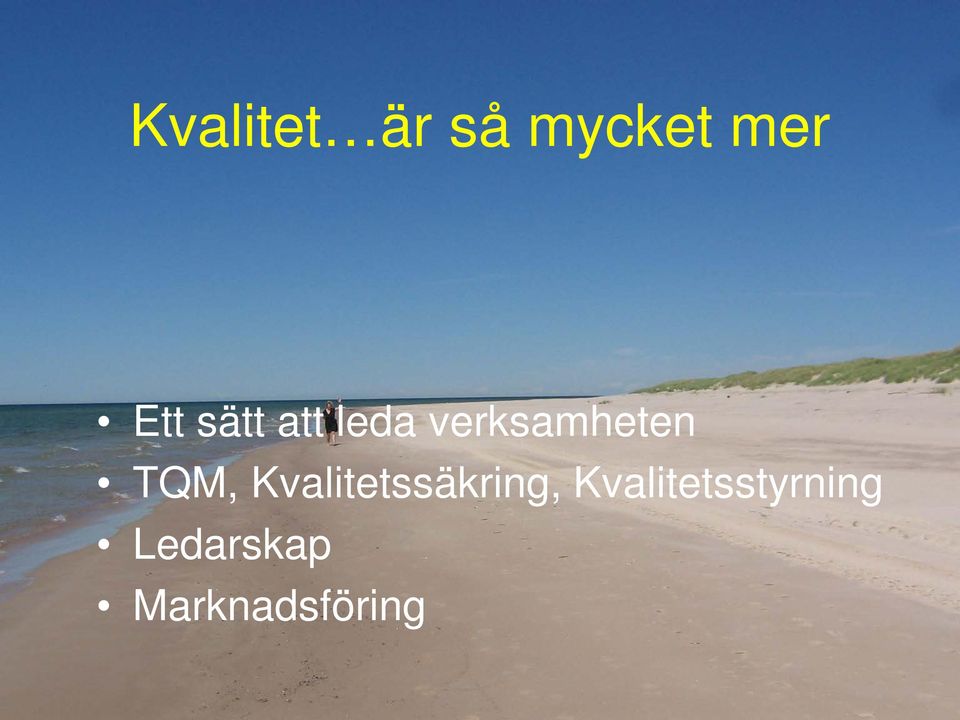 TQM, Kvalitetssäkring,