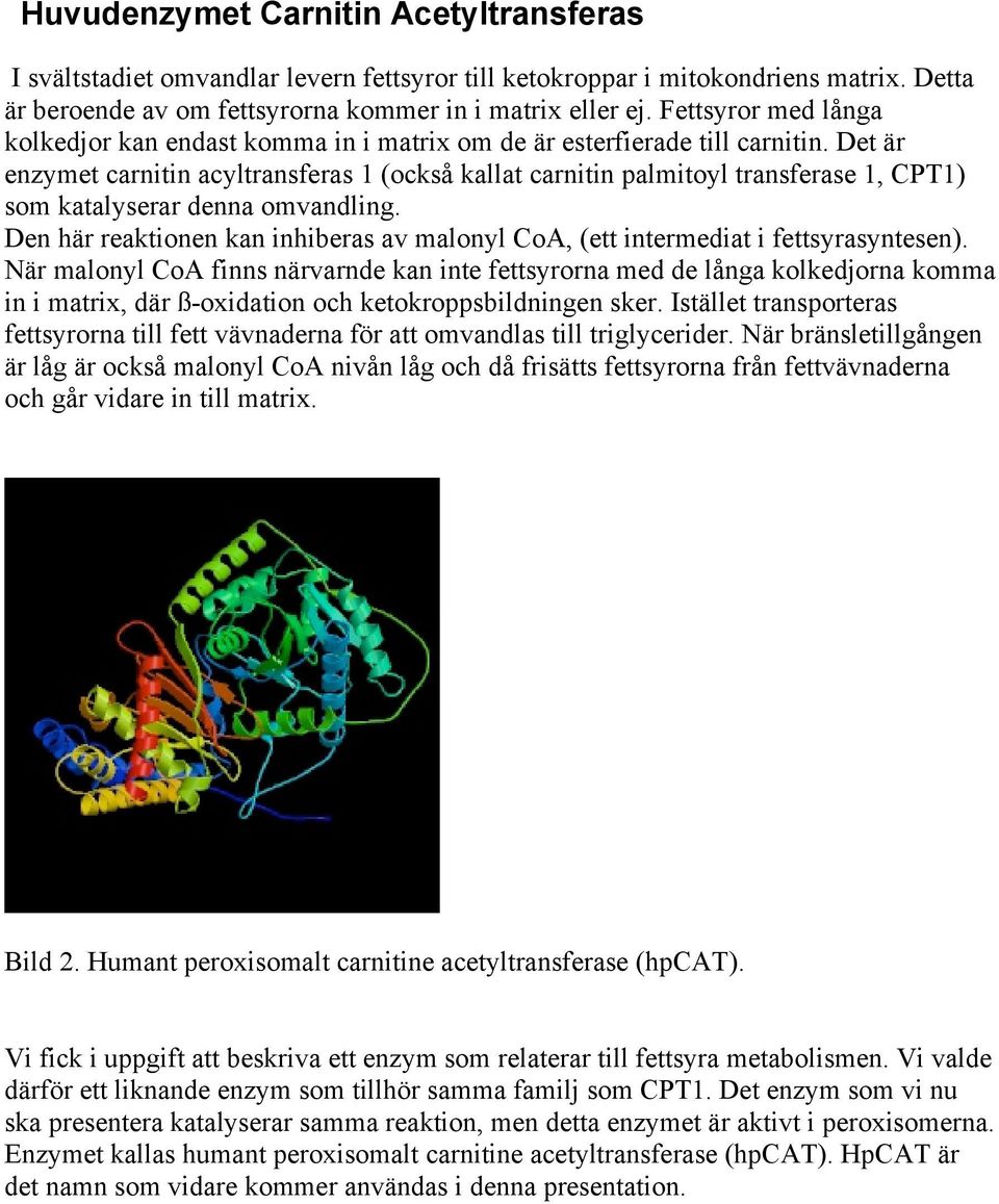 Det är enzymet carnitin acyltransferas 1 (också kallat carnitin palmitoyl transferase 1, CPT1) som katalyserar denna omvandling.