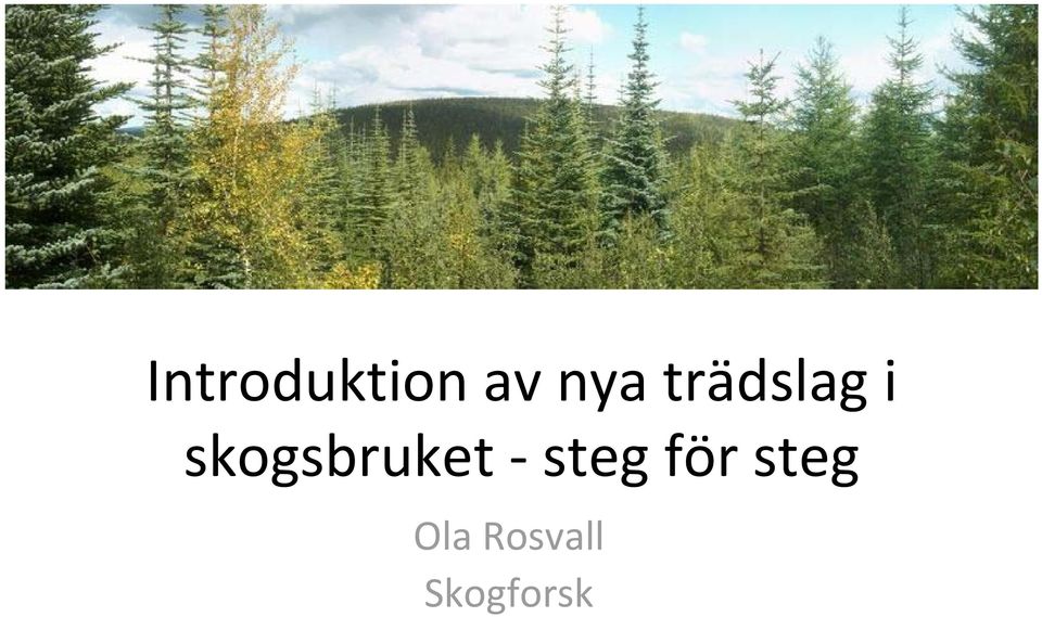 skogsbruket steg