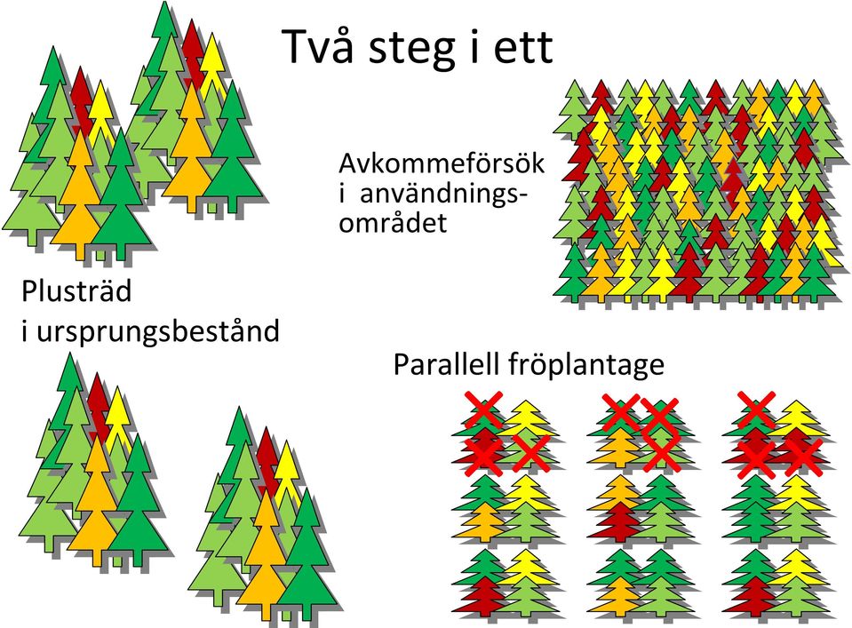 användningsområdet