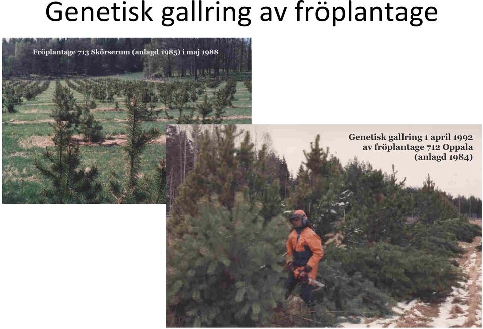 av