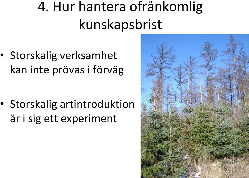 verksamhet kan inte prövas i