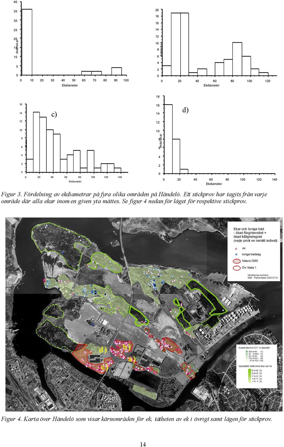 Figur 3. Fördelning av ekdiametrar på fyra olika områden på Händelö. Ett stickprov har tagits från varje område där alla ekar inom en given yta mättes.