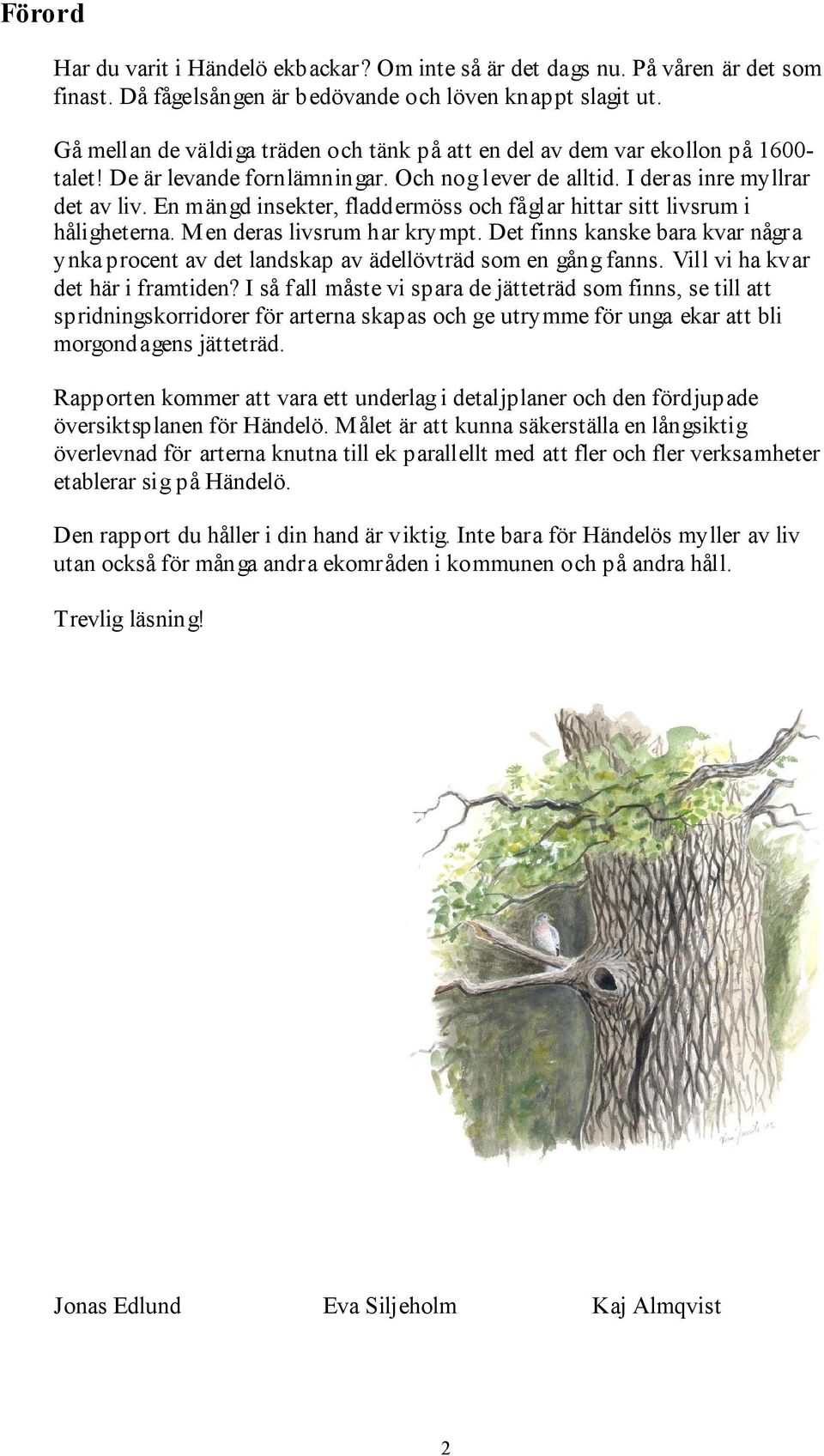 En mängd insekter, fladdermöss och fåglar hittar sitt livsrum i håligheterna. Men deras livsrum har krympt.