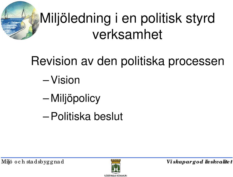 politiska processen Vision