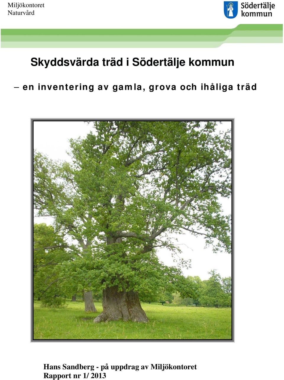 grova och ihåliga träd Hans Sandberg - på