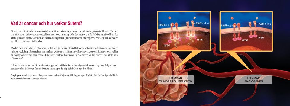 Genom att sända ut signaler (tillväxtfaktorer, exempelvis VEGF) kan cancern se till att nya blodkärl bildas.