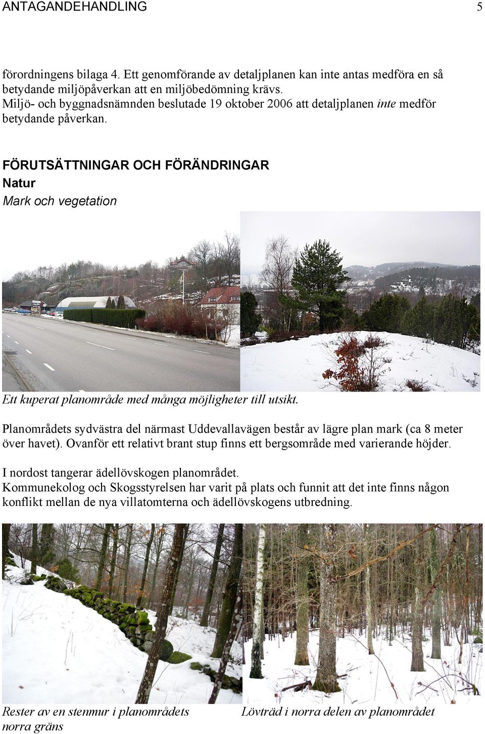 FÖRUTSÄTTNINGAR OCH FÖRÄNDRINGAR Natur Mark och vegetation Ett kuperat planområde med många möjligheter till utsikt.