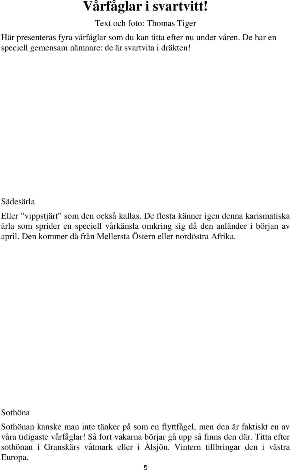 De flesta känner igen denna karismatiska ärla som sprider en speciell vårkänsla omkring sig då den anländer i början av april.