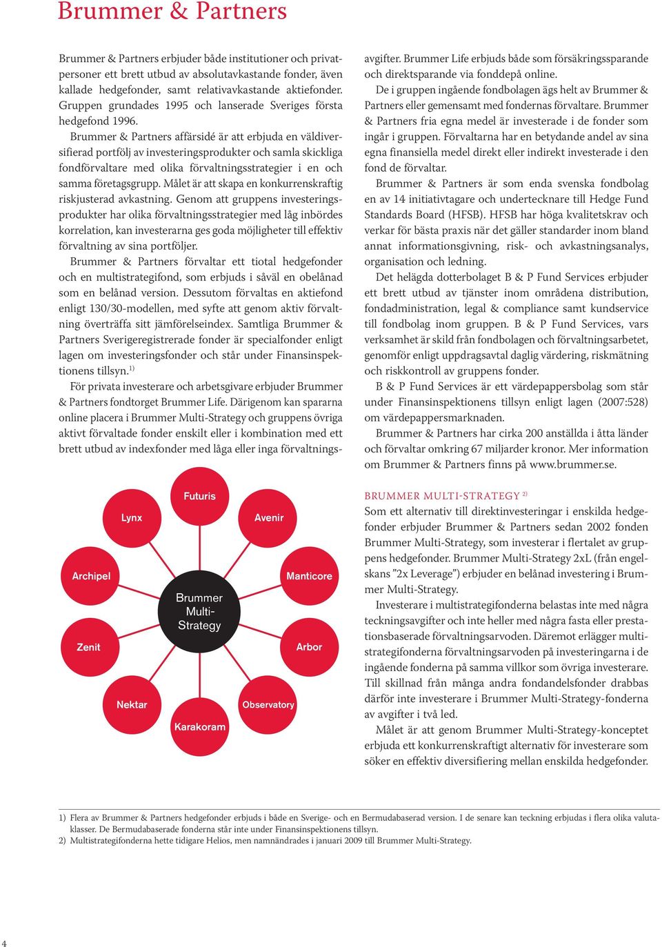 Brummer & Partners affärsidé är att erbjuda en väldiversifierad portfölj av investeringsprodukter och samla skickliga fondförvaltare med olika förvaltningsstrategier i en och samma företagsgrupp.
