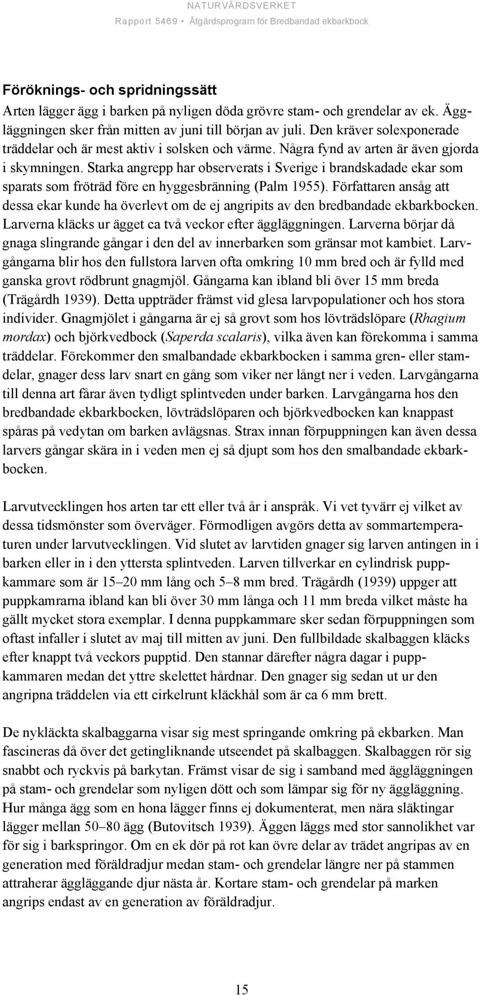 Starka angrepp har observerats i Sverige i brandskadade ekar som sparats som fröträd före en hyggesbränning (Palm 1955).