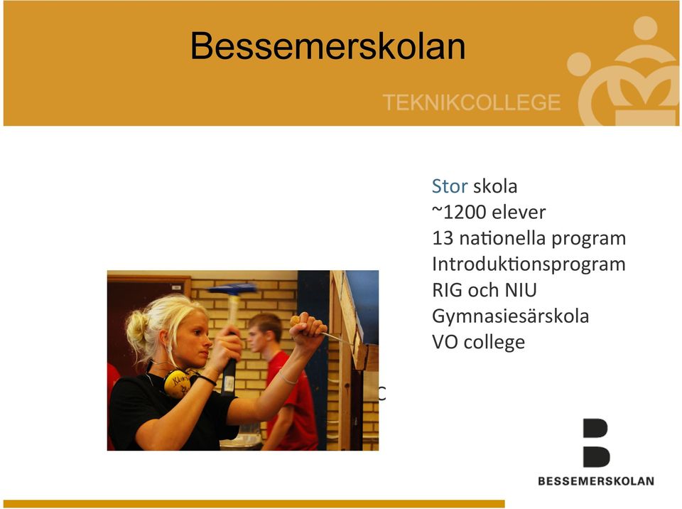 program Introduk2onsprogram