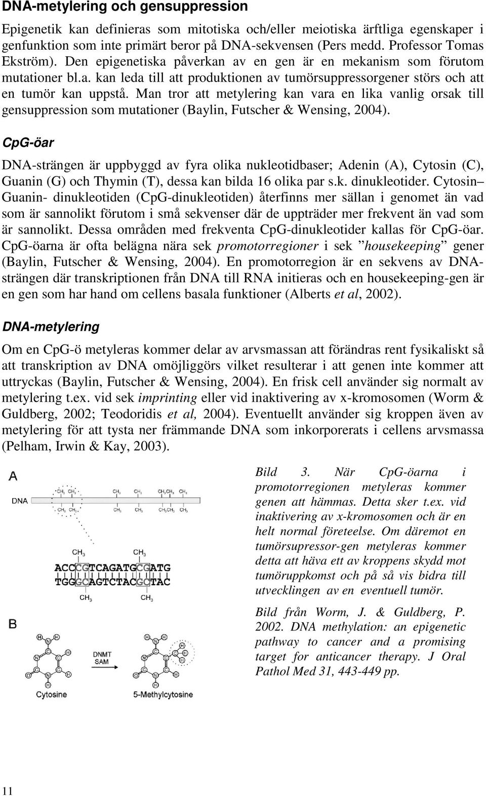 Man tror att metylering kan vara en lika vanlig orsak till gensuppression som mutationer (Baylin, Futscher & Wensing, 2004).