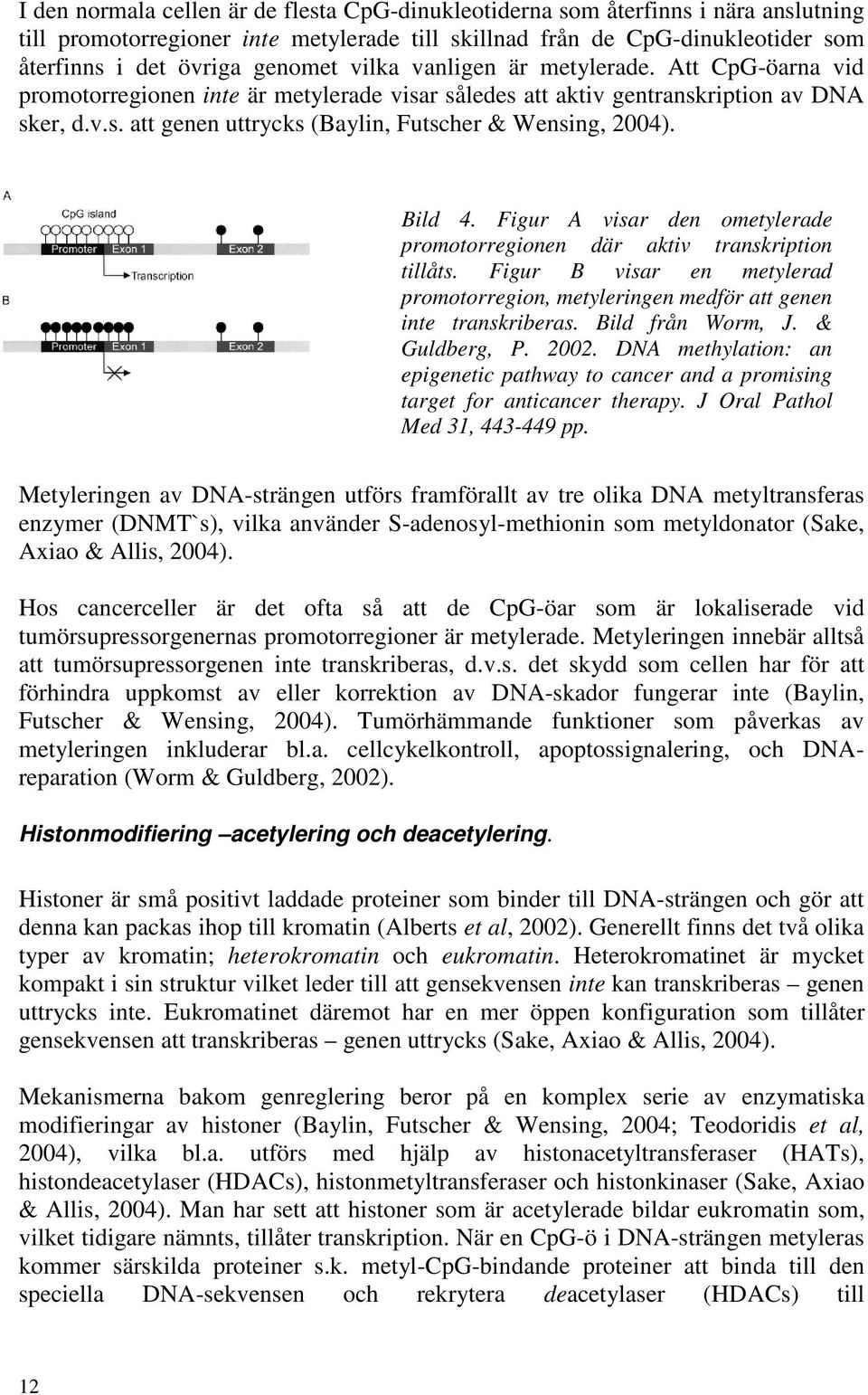 Bild 4. Figur A visar den ometylerade promotorregionen där aktiv transkription tillåts. Figur B visar en metylerad promotorregion, metyleringen medför att genen inte transkriberas. Bild från Worm, J.