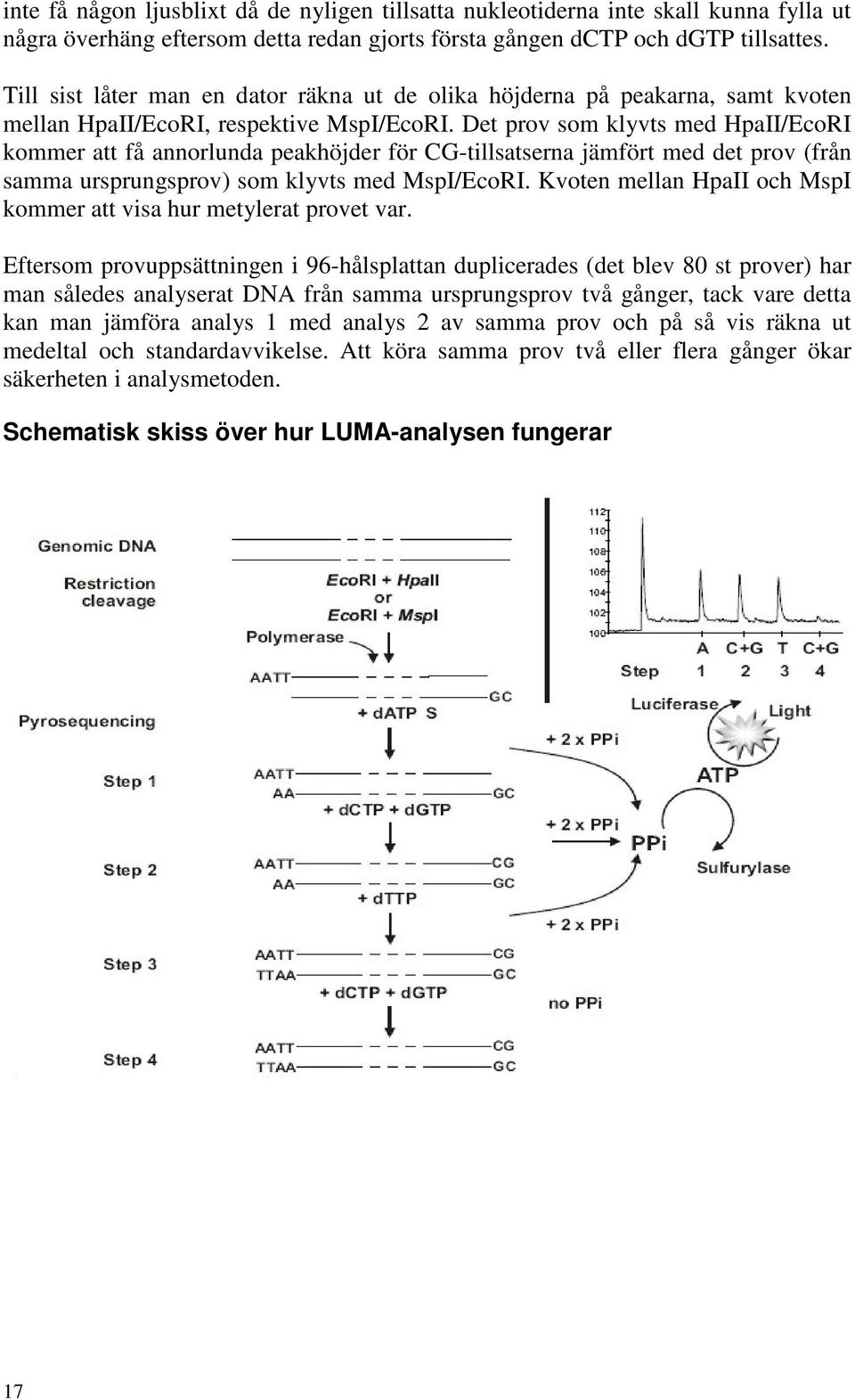 Det prov som klyvts med HpaII/EcoRI kommer att få annorlunda peakhöjder för CG-tillsatserna jämfört med det prov (från samma ursprungsprov) som klyvts med MspI/EcoRI.