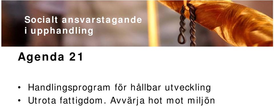 Handlingsprogram för hållbar