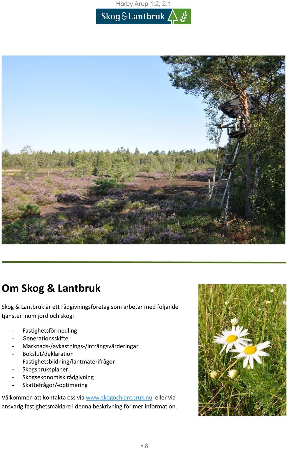 Bokslut/deklaration - Fastighetsbildning/lantmäterifrågor - Skogsbruksplaner - Skogsekonomisk rådgivning -