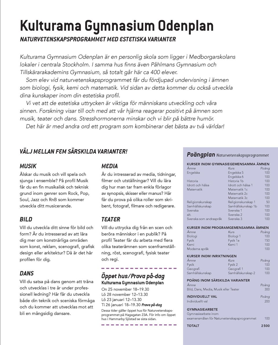 Som elev vid naturvetenskapsprogrammet får du fördjupad undervisning i ämnen som biologi, fysik, kemi och matematik.