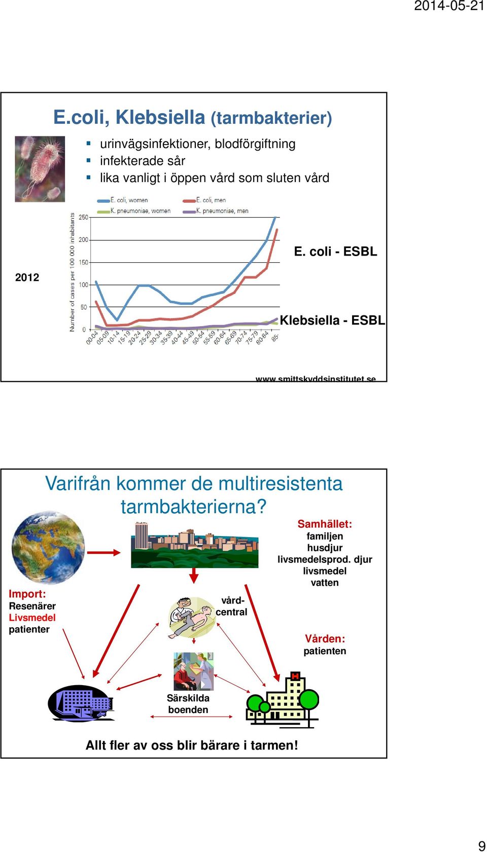 se Import: Resenärer Livsmedel patienter Varifrån kommer de multiresistenta tarmbakterierna?