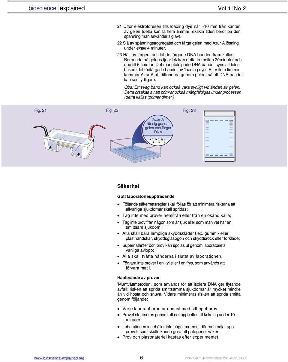 Beroende på gelens tjocklek kan detta ta mellan 20minuter och upp till 6 timmar. Det mångfaldigade DNA bandet syns alldeles bakom det rödfärgade bandet av loading dye.