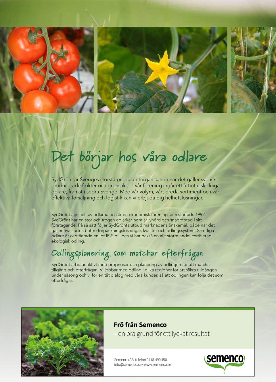 SydGrönt ägs helt av odlarna och är en ekonomisk förening som startade 1992. SydGrönt har en stor och trogen odlarkår, som är lyhörd och snabbfotad i sitt företagande.