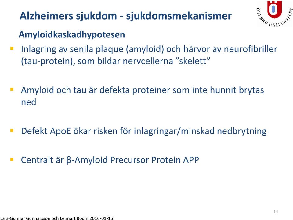 skelett Amyloid och tau är defekta proteiner som inte hunnit brytas ned Defekt ApoE