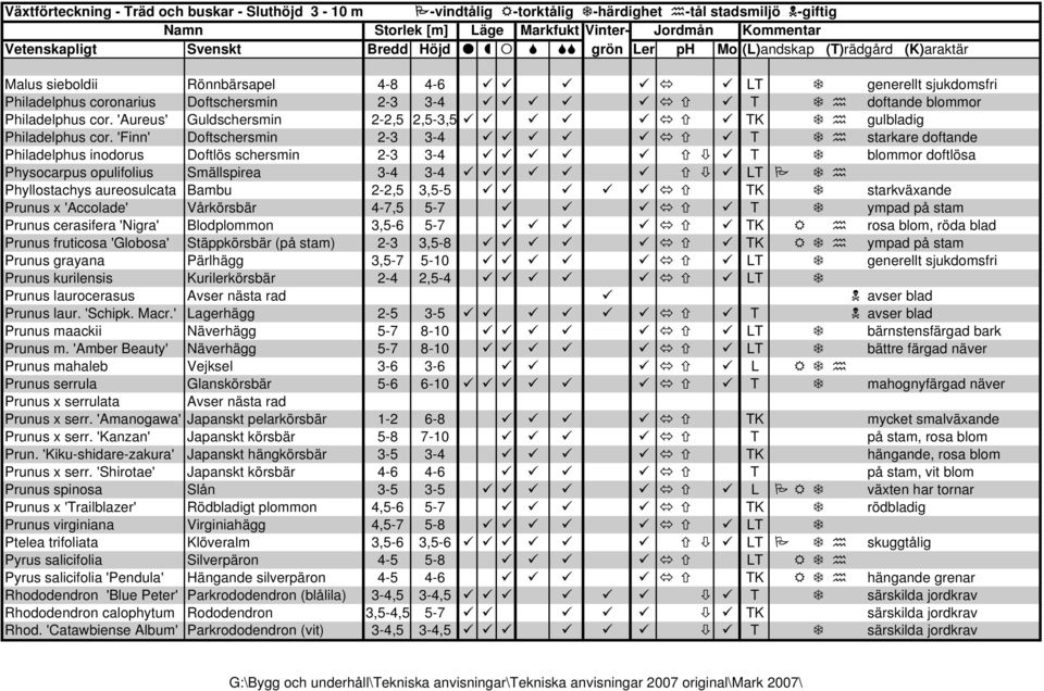 'Finn' Doftschersmin 2-3 3-4 T starkare doftande Philadelphus inodorus Doftlös schersmin 2-3 3-4 T blommor doftlösa Physocarpus opulifolius Smällspirea 3-4 3-4 LT Phyllostachys aureosulcata Bambu