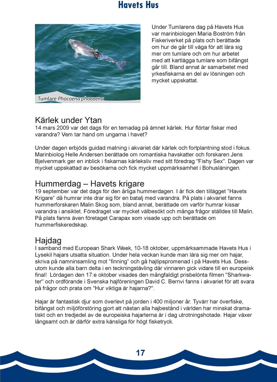 Tumlare Phocoena phocoena Kärlek under Ytan 14 mars 2009 var det dags för en temadag på ämnet kärlek. Hur flörtar fiskar med varandra? Vem tar hand om ungarna i havet?