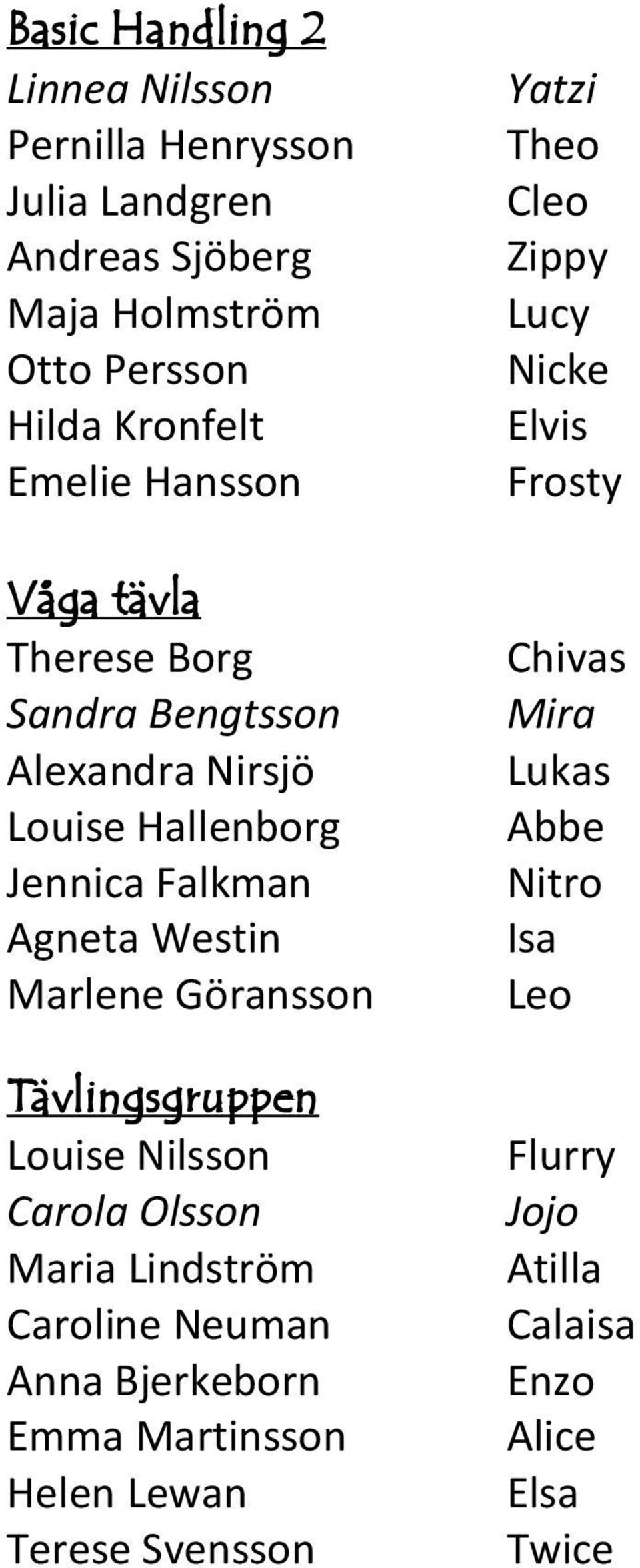 Tävlingsgruppen Louise Nilsson Carola Olsson Maria Lindström Caroline Neuman Anna Bjerkeborn Emma Martinsson Helen Lewan Terese