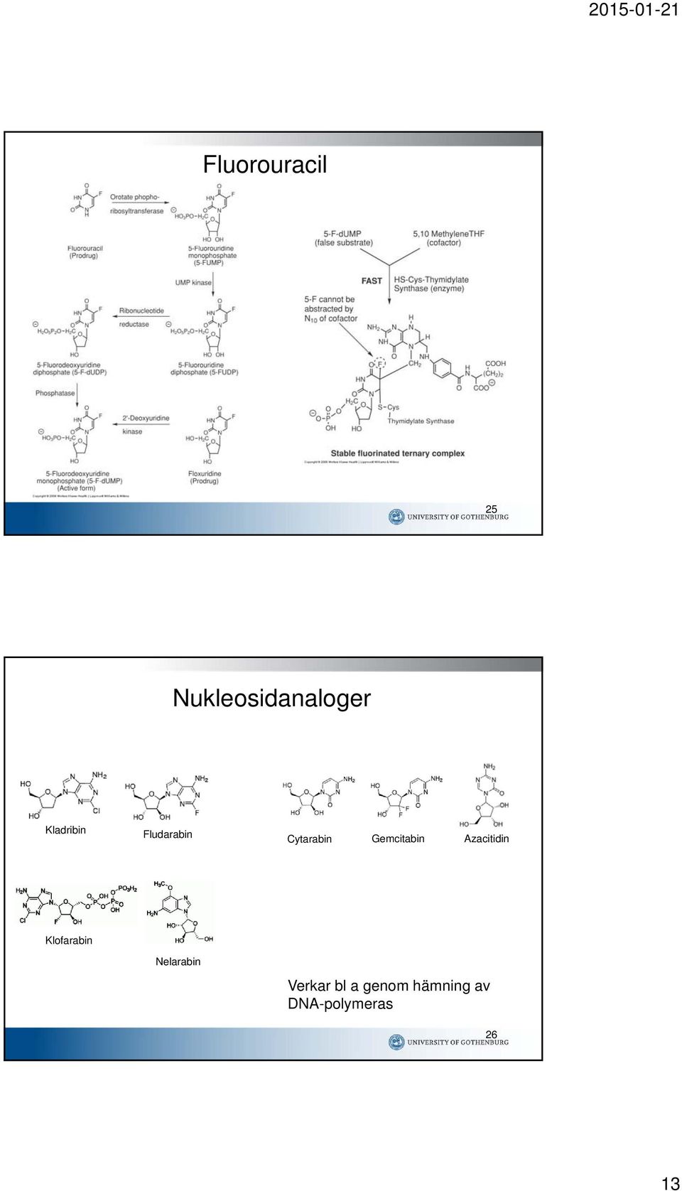 Gemcitabin Azacitidin Klofarabin