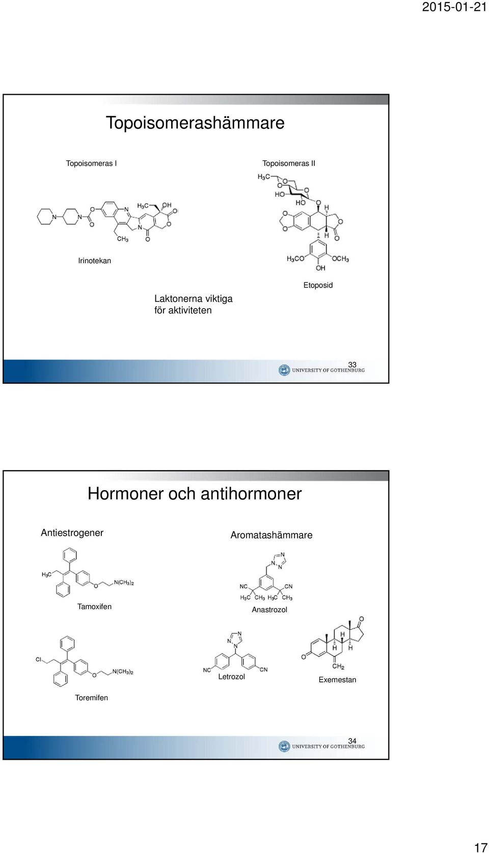33 Hormoner och antihormoner Antiestrogener