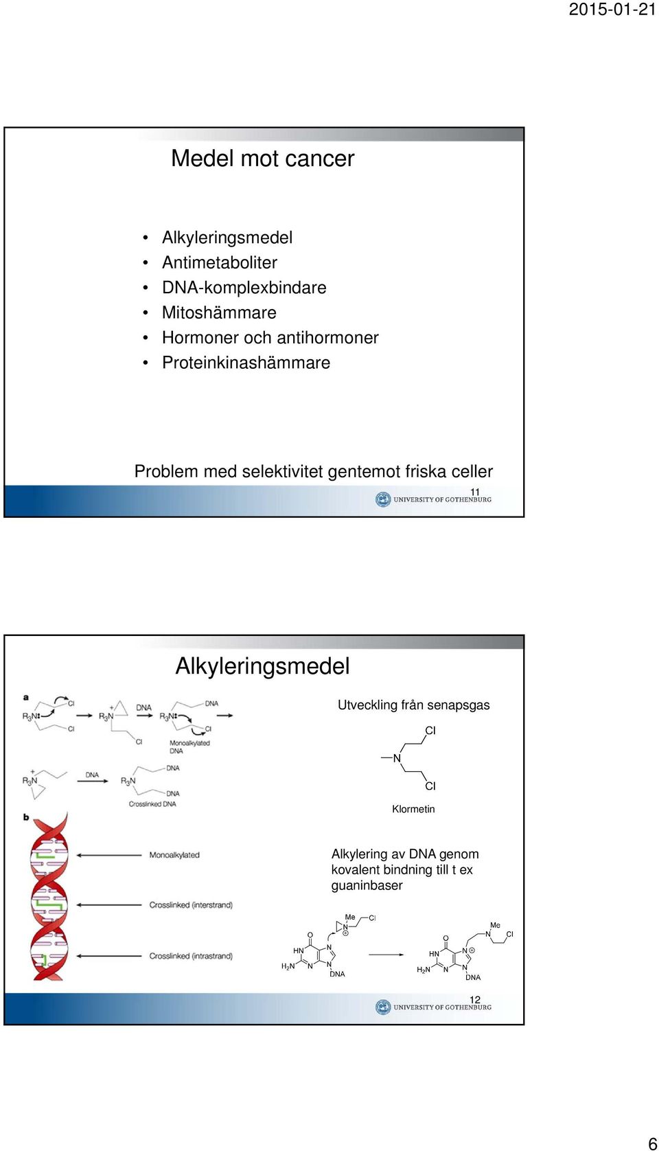 selektivitet gentemot friska celler 11 Alkyleringsmedel Utveckling från