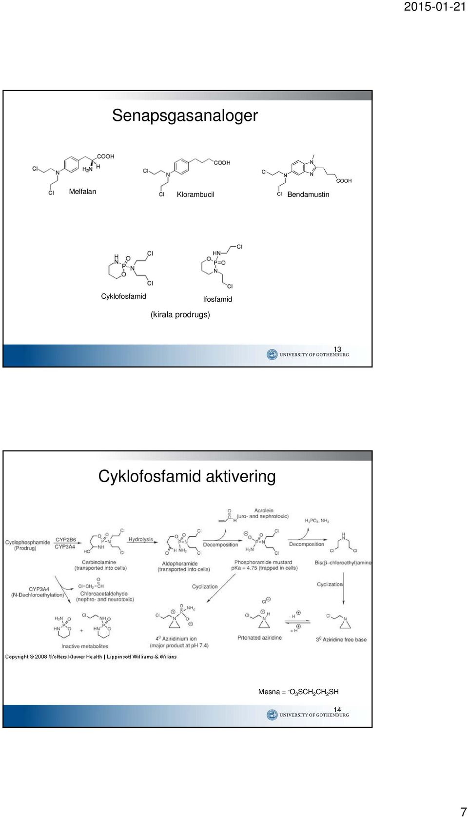 prodrugs) Ifosfamid 13 Cyklofosfamid