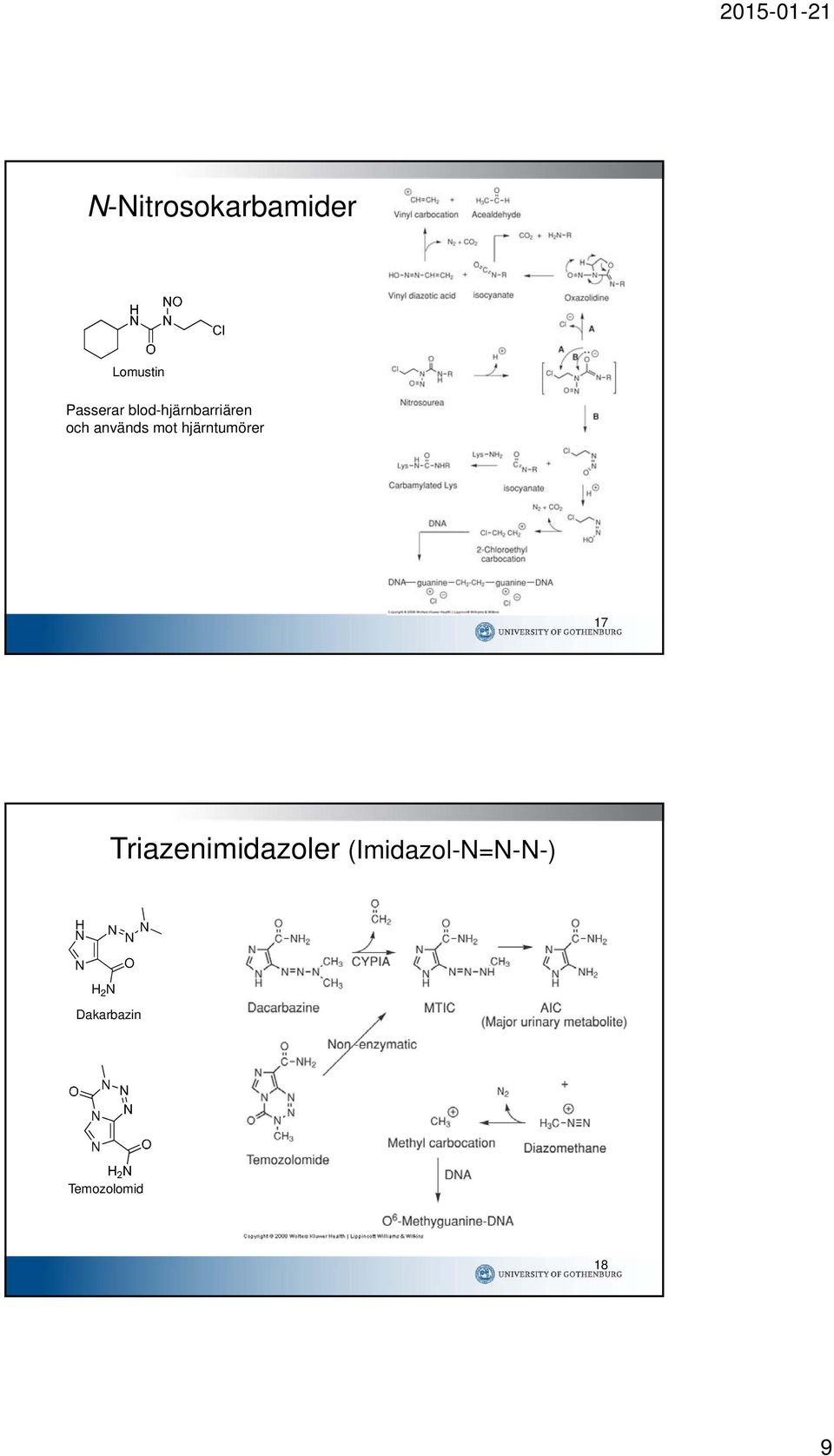 hjärntumörer 17 Triazenimidazoler