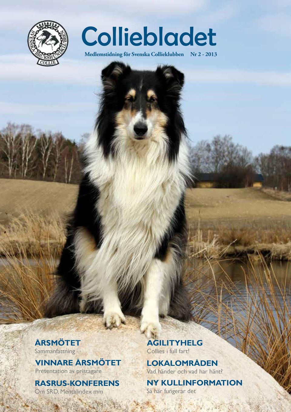 RASRUS-KONFERENS Om SRD, Mentalindex mm AGILITYHELG Collies i full fart!