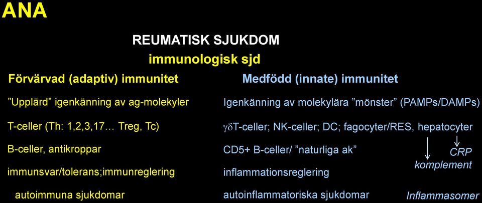 T-celler; NK-celler; DC; fagocyter/res, hepatocyter B-celler, antikroppar immunsvar/tolerans;immunreglering