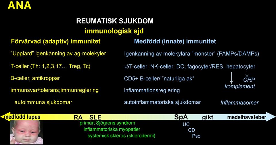 immunsvar/tolerans;immunreglering autoimmuna sjukdomar CD5+ B-celler/ naturliga ak inflammationsreglering autoinflammatoriska sjukdomar CRP