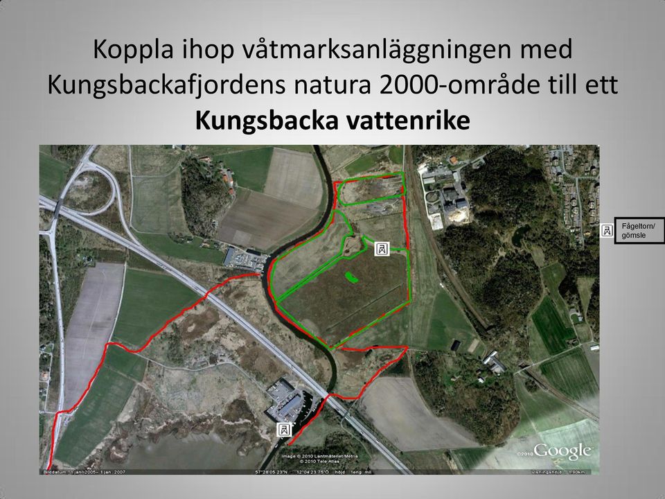 Kungsbackafjordens natura