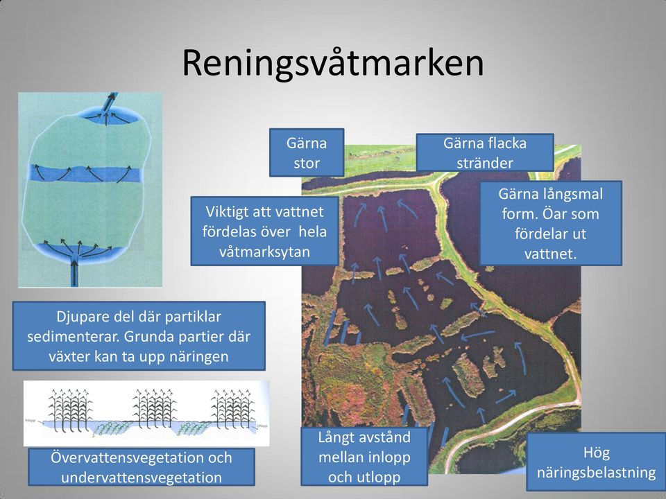 Djupare del där partiklar sedimenterar.