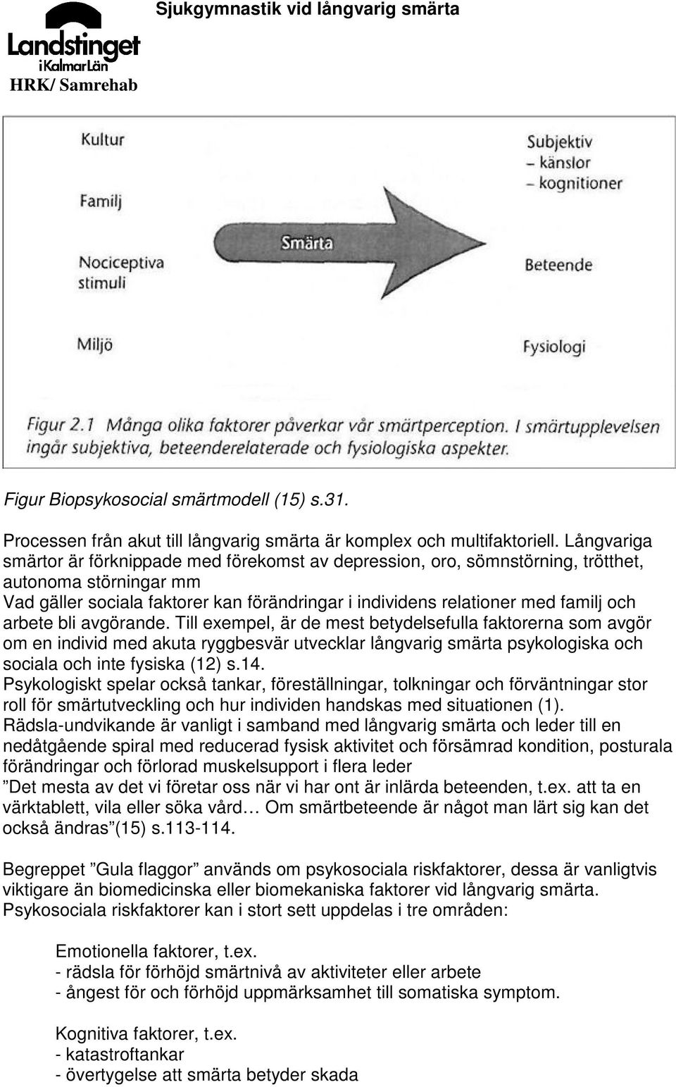 arbete bli avgörande. Till exempel, är de mest betydelsefulla faktorerna som avgör om en individ med akuta ryggbesvär utvecklar långvarig smärta psykologiska och sociala och inte fysiska (12) s.14.