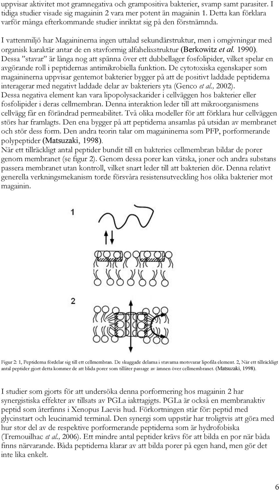 I vattenmiljö har Magaininerna ingen uttalad sekundärstruktur, men i omgivningar med organisk karaktär antar de en stavformig alfahelixstruktur (Berkowitz et al. 1990).