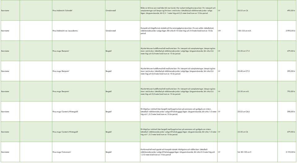 Långsamväxande, blir 0,5-1 meter hög och 0,5 meter bred inom en 10 års period. I-V 20-25 cm C6 495,00 kr Barrväxter Pinus heldreichii var.