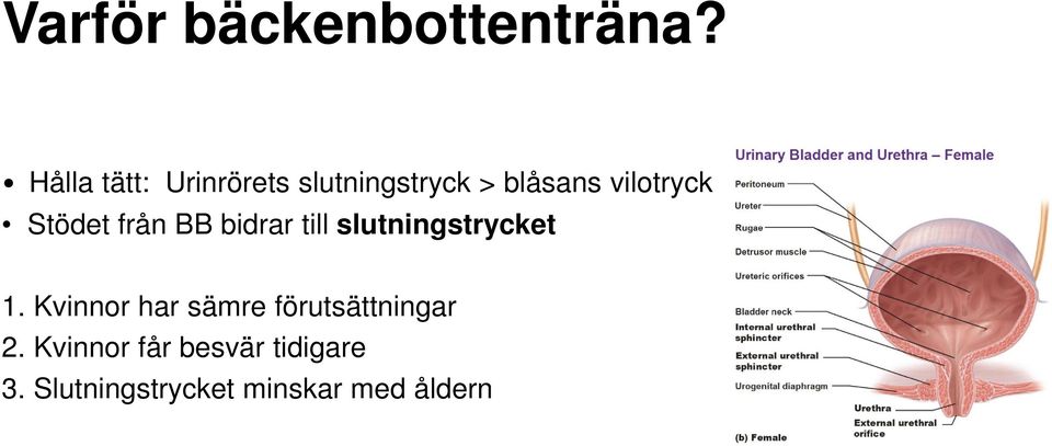 Stödet från BB bidrar till slutningstrycket 1.