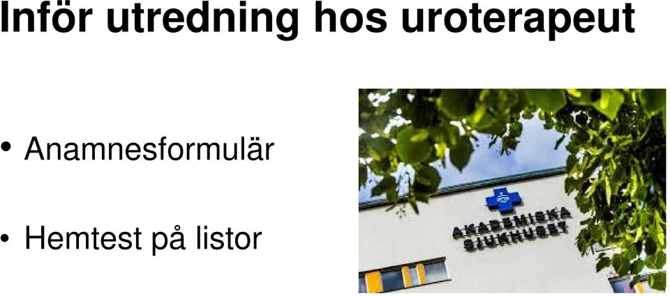 Anamnesformulär